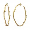 drea large hoops