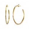 jordan large hoops